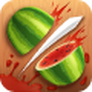  Fruit Ninja icon