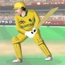  Cricket Cup Online icon