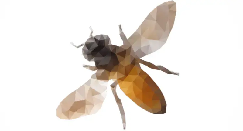 How to Play Poly Roller – Unscramble The Secrets