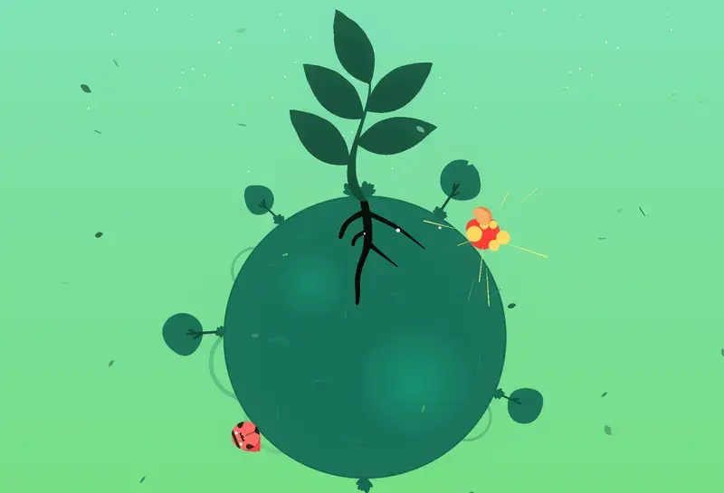 Mutato Potato – A Beginner’s Guide