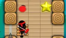 Ninja Painter Coolmath Edition