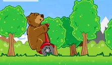 Bear on a Scooter