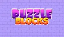 Puzzle Blocks